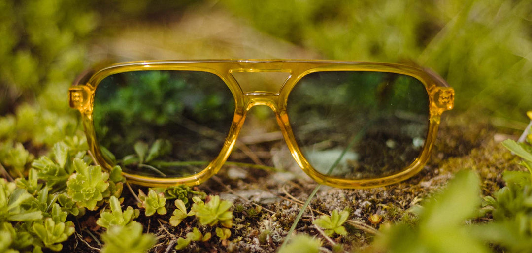 Sap*Engraved Walnut*Basic Polarized Sky + Sap*Engraved Walnut*HD Plus Polarized Sky | CAMP Glacier Yellowstone Sunglasses