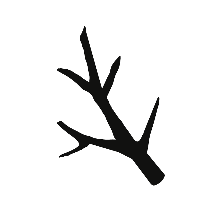 Alt image