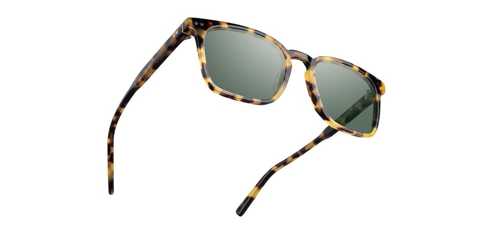 Havana*G15 + Havana*G15 Polarized | Shwood Hamilton Acetate Sunglasses Havana